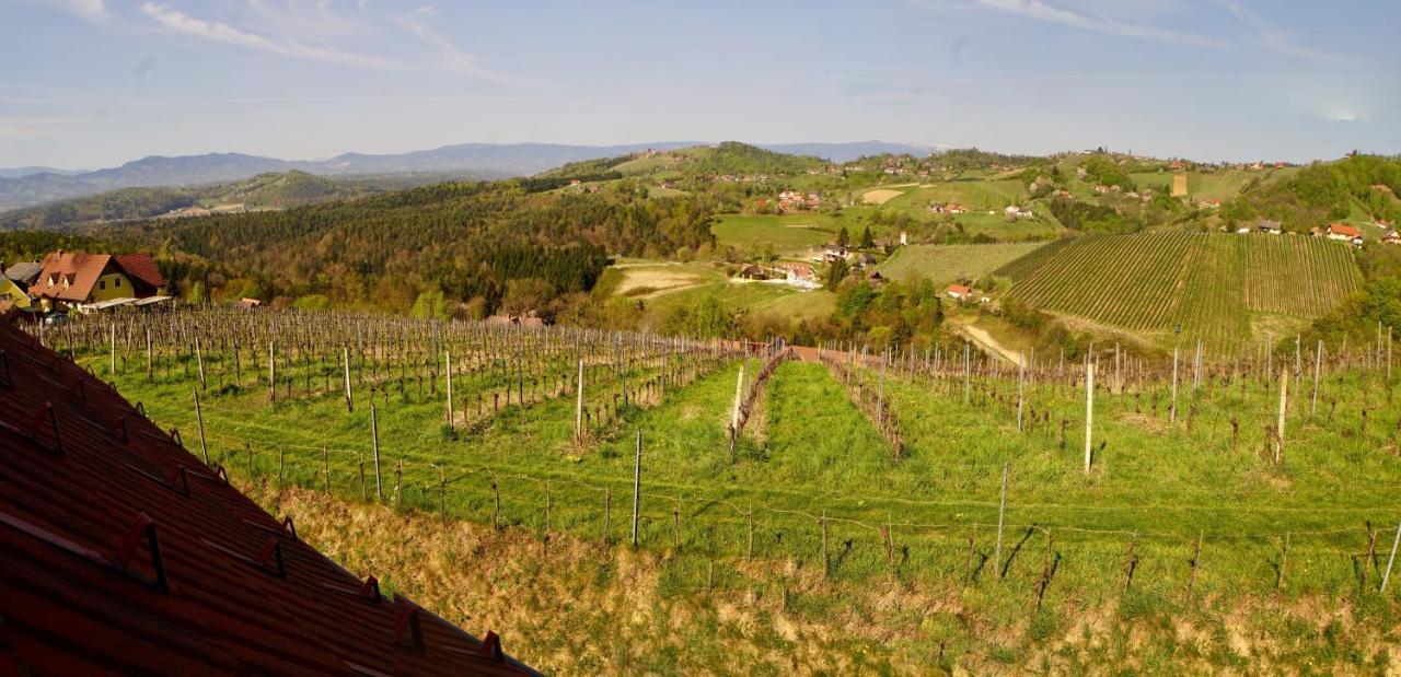 Ferienhaus Haring Kitzeck im Sausal Buitenkant foto