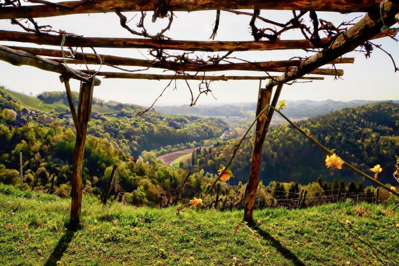 Ferienhaus Haring Kitzeck im Sausal Buitenkant foto